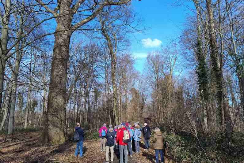 A la découverte d&rsquo;arbres remarquables (suite) – mercredi 4 janvier 2026